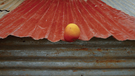 Detalle de Zincfonía tropical