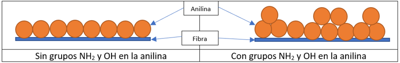 Esquema de representaci�n de las interacciones entre las anilinas y la fibra seg�n el mordente empleado