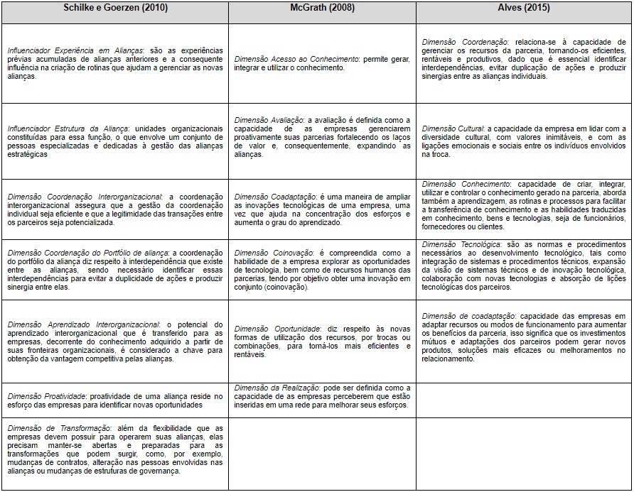 Construto te�rico da capacidade relacional que fundamentou este estudo