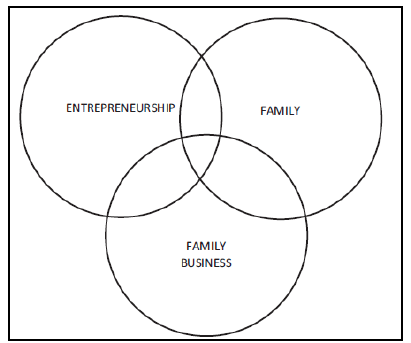 Family entrepreneurship at the intersection of the fields of family, entrepreneurship and family business.