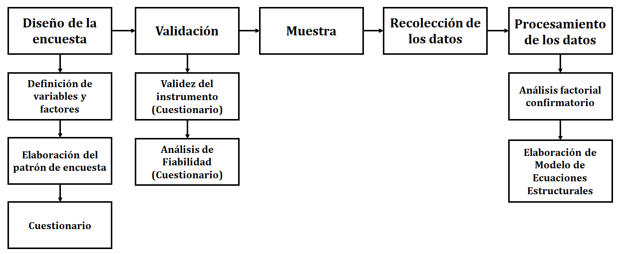 Curso metodológico del estudio