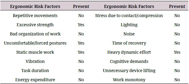 Ergonomic risk factors identified in the studied working place