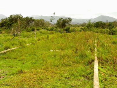 As ruinas da Zona Oeste: Jardim Maravilha