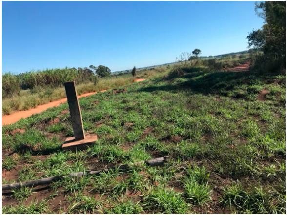 Hito demarcatorio entre Paraguay y Brasil y parte de camino que recorre la l&iacute;nea de frontera