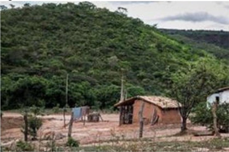 Terreno de Dona Adelina