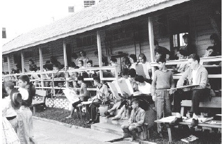 Brizoleta na dcada de 1960