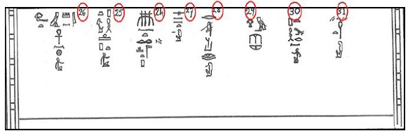 Figura 7