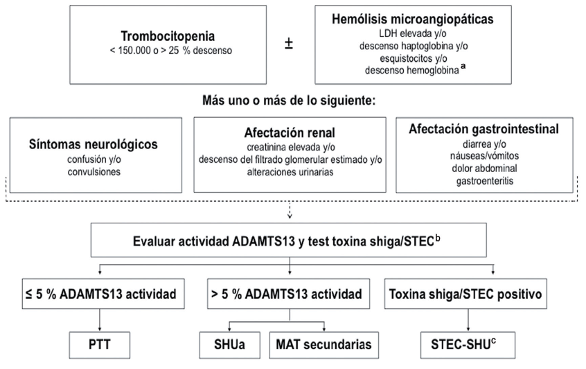 Algoritmo para el diagnóstico ante sospecha de MAT. Fuente: Josep M. Campistol, et al. Actualización en síndrome hemolítico atípico. Nefrología; 2015(5)
