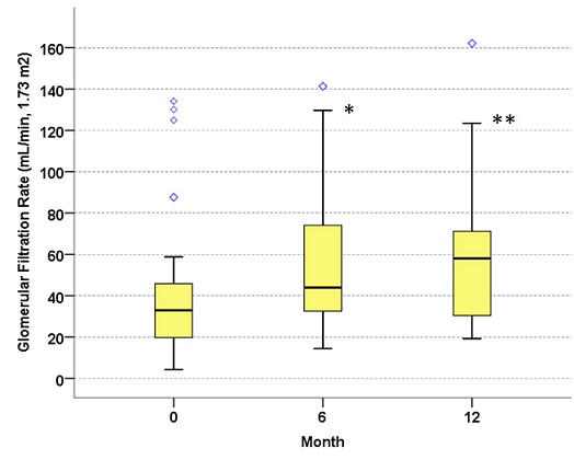 Course of the estimated glomerular filtration rates of the patients hemodialysis  not initiated and recovered from hemodialysis