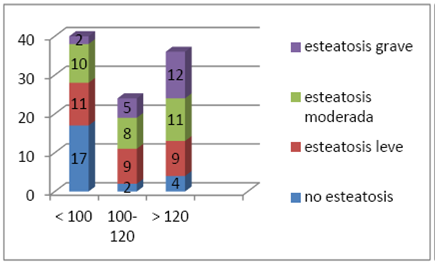 Esteatosis y diabetes mellitus