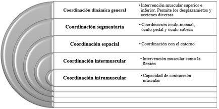 Tipos de coordinaciones motrices.