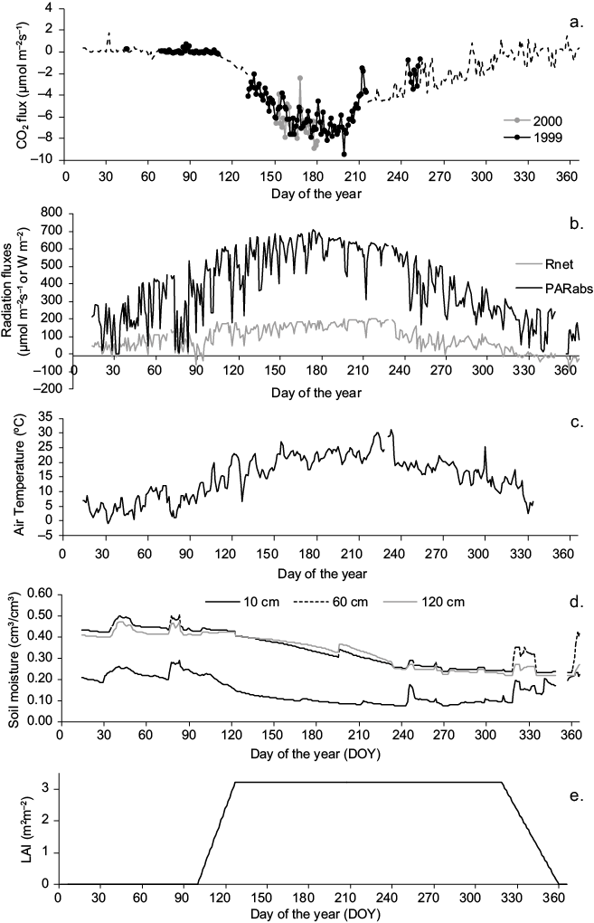 Daily means of (a) CO2 flux data and CO2 flux estimates (dashed line), (b) Rnet and absorbed PAR flux densities, (c) air temperature at 25 m height, (d) soil moisture at 10, 60 and 120 cm depths, and (e) LAI evolution.