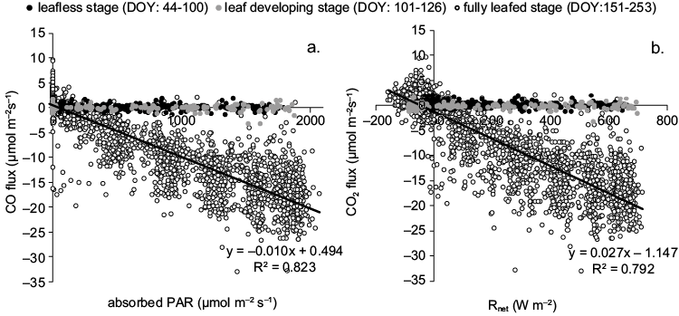 Correlation of the hourly CO2 fluxes with (a) absorbed PAR and (b) Rnet, during different forest phenological stages, defined by days of the year (DOY).