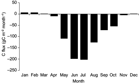 Estimated mean monthly values of absorbed C for the Mogostos forest.