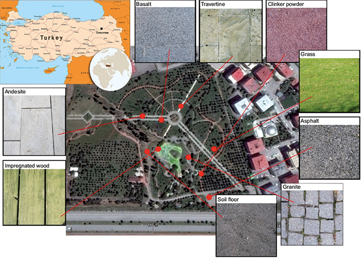Location of the study area (Ata botanical garden) at Erzurum, east Turkey (39&ordm; 54&rsquo; N, 41&ordm; 15&rsquo; E)