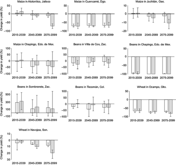 Estimated yield change for maize, beans and wheat in Mexico
								(white bars for RCP 4.5 and gray bars for RCP 8.5; bars represent
								multimodel means and error bars max and min values).