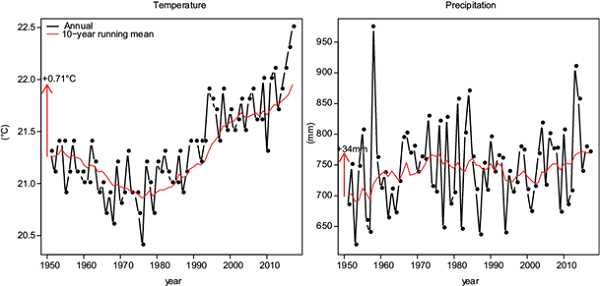 Temporal evolution of mean annual temperature (left) and
								precipitation (right) across the whole of Mexico from 1951-2017.
								Dots represent the annual mean and the red line a 10-year running
								mean. The red arrow indicates the net decadal change from the 1950s
								to the 2010s in both variables.