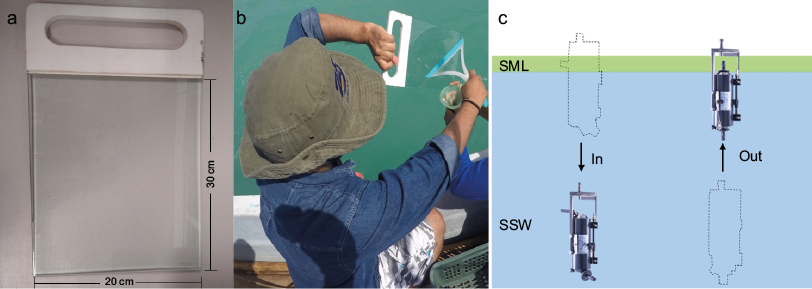 (a) Glass plate used in the present study, (b) sea surface microlayer (SML) sample collection procedure, and (c) bulk surface water (BSW) sample collection procedure.
