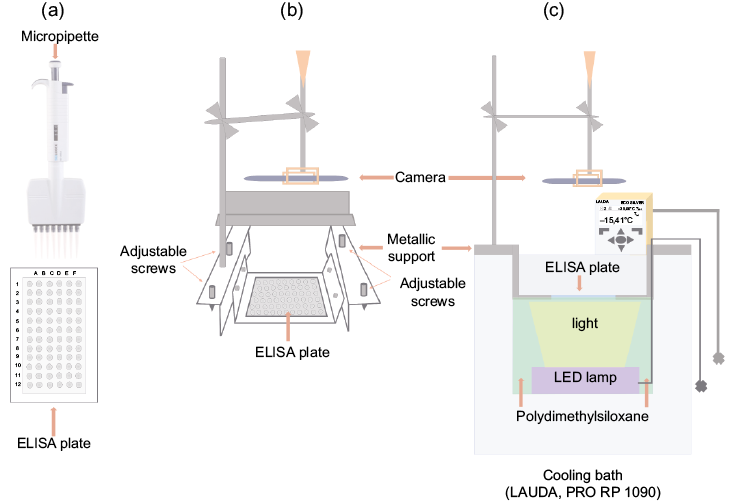 Diagram showing the main components of the UNAM-droplet freezing assay (UNAM-DFA). (a) Sample preparation; (b) sample holder, Enzyme-Linked Immunosorbent Assay (ELISA) plate, video camera arrangement, and (c) cross section view of the full setup.