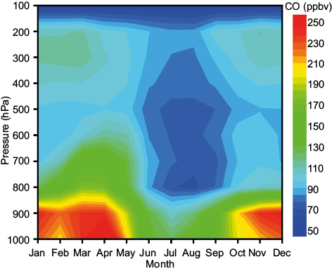 Monthly variation of MOPITT retrieved CO profiles over the measurement location.