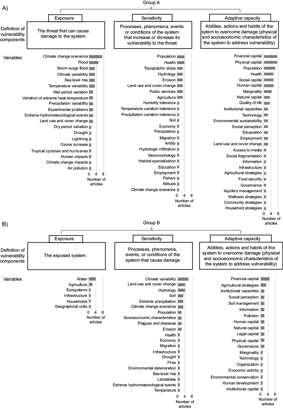 Definition of vulnerability components and variables.