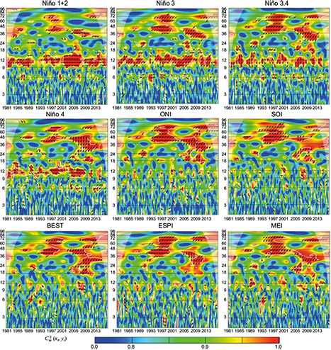 Wavelet coherence C2x,y (xt, yt) and phase difference Arg (Tx,y(τ,s)) between ENSO indices and precipitation of La esperanza station. The cone of influence is the area outside of the with a concave-down shape, and sectors of significant periodicities at 5% are enclosed by the thick white lines. (Anti-phase: &larr; ; In-phase: &rarr;)