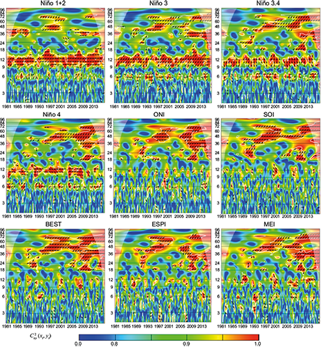 Wavelet coherence C2x,y (xt, yt) and phase difference Arg (Tx,y(τ,s)) between ENSO indices and precipitation of Matitas station. The cone of influence is the area outside of the with a concave-down shape, and sectors of significant periodicities at 5% are enclosed by the thick white lines. Data from IDEAM. (Anti-phase: &larr;; In-phase: &rarr;).