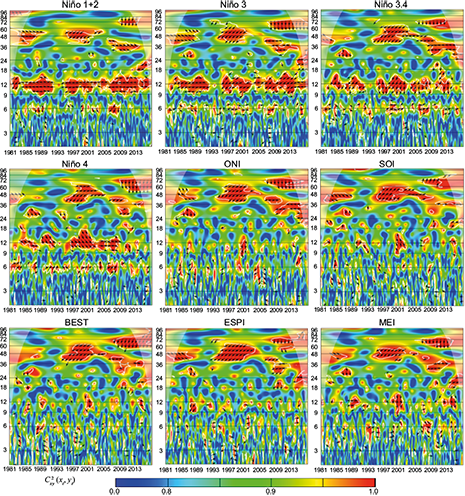 Wavelet coherence C2x,y (xt, yt) and phase difference Arg (Tx,y(τ,s)) between ENSO indices and precipitation of Mompos station. The cone of influence is the area outside of the with a concave-down shape, and sectors of significant periodicities at 5% are enclosed by the thick white lines. Data from IDEAM. (Anti-phase: &larr;; In-phase: &rarr;).