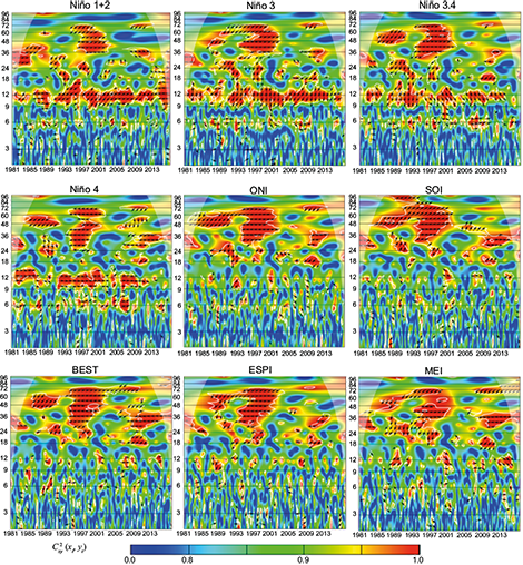 Wavelet coherence C2x,y (xt, yt) and phase difference Arg (Tx,y(τ,s)) between ENSO indices and precipitation of Cimitarra station. The cone of influence is the area outside of the with a concave-down shape, and sectors of significant periodicities at 5% are enclosed by the thick white lines. Data from IDEAM. (Anti-phase: &larr;; In-phase: &rarr;).
