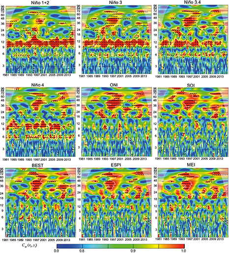 Wavelet coherence C2x,y (xt, yt) and phase difference Arg (Tx,y(τ,s)) between ENSO indices and precipitation of Iser Pamplona station. The cone of influence is the area outside of the with a concave-down shape, and sectors of significant periodicities at 5% are enclosed by the thick white lines. Data from IDEAM. (Anti-phase: &larr;; In-phase: &rarr;).