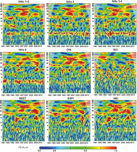 Wavelet coherence C2x,y (xt, yt), and phase difference Arg(Tx,y (τ, s)) between ENSO indices and precipitation of Mesopotamia station. The cone of influence is the area outside of the with a concave-down shape, and regions of significant periodicities at a 5% are enclosed by the thick white lines. Data from CHIRPS. Anti-phase: &larr; In-phase: &rarr;