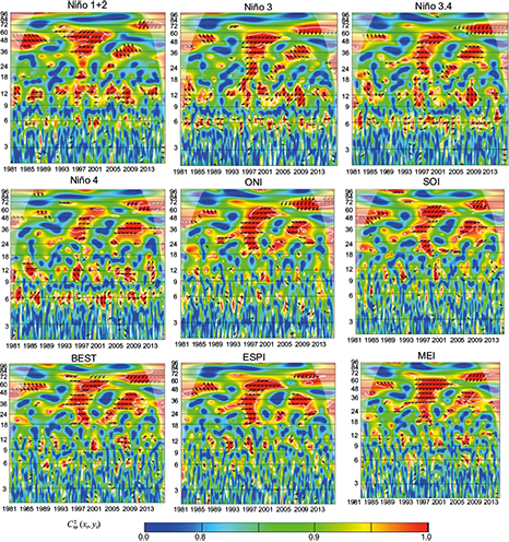 Wavelet coherence C2x,y (xt, yt), and phase difference Arg(Tx,y (τ, s)) between ENSO indices and precipitation of Cimitarra station. The cone of influence is the area outside of the with a concave-down shape, and regions of significant periodicities at a 5% are enclosed by the thick white lines. Data from CHIRPS. Anti-phase: &larr; In-phase: &rarr;