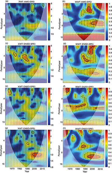 Coherent wavelet power spectrum (WTC, right column) and cross wavelet power spectrum (XWT, left column) of SPEI and AMO, ENSO, NAO, and PDO in Xinjiang.