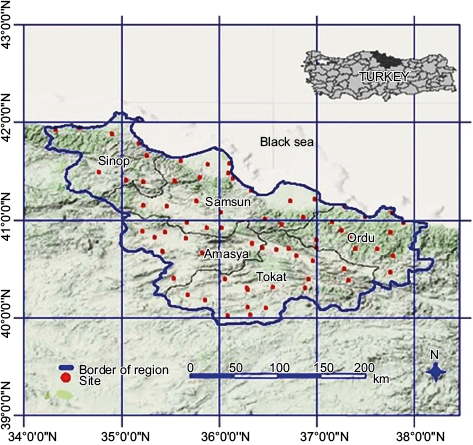 Geographical location of the stations on the study area.