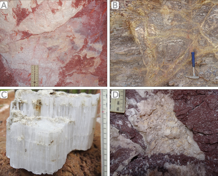 Fotografías de campo de los productos de la alteración hidrotermal en la zona geotérmica de Pathé: (A) Caolín de las antiguas minas de Yexthó, formado por la alteración pervasiva de los depósitos piroclásticos de la Unidad volcánica inferior (Mioceno superior); (B) Alteración selectiva en stockwork de vetillas de yeso de lavas de la Unidad volcánica inferior (Mioceno superior); (C) espécimen de yeso fibroso de origen hidrotermal recolectado en el trazado de la Falla de Pathé (N-S), en las inmediaciones de las manifestaciones geotérmicas; (D) veta de calcita «hojosa» en una brecha del techo de los depósitos piroclásticos de la Unidad volcánica inferior (Mioceno superior).