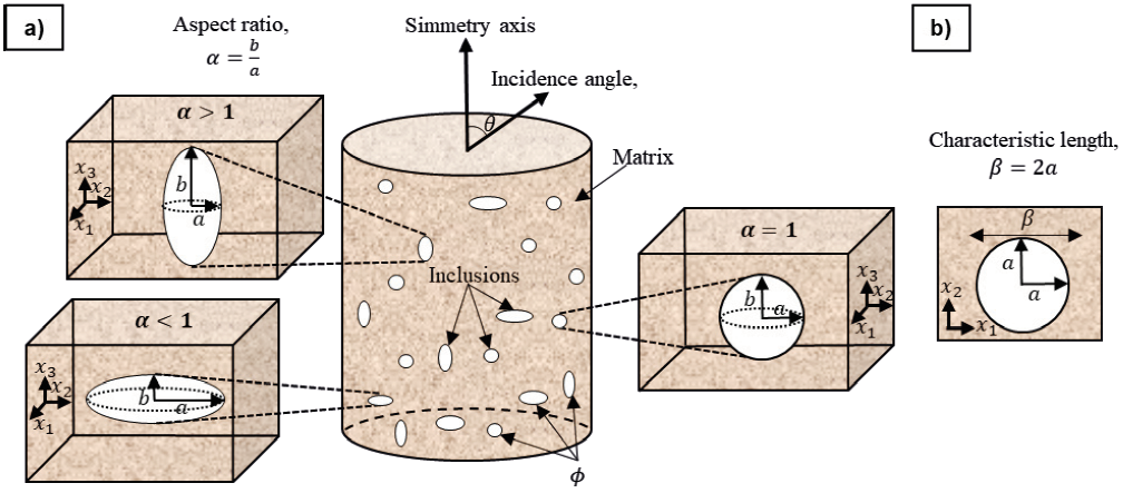 Schematic diagram showing the geometries and parameters used in the anisotropic model. a) Vertical and horizontal ellipsoidal and sphere inclusions considering volume fraction (ϕ), aspect ratio (α) that relates to radius (a) and semi-axis (b) embedded in the matrix. b) The inclusion in the plane (x1, x2) is a circle with a radius a and characteristic length (β).