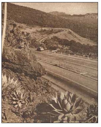 El coche y la curva
de la autopista a Cuernavaca.
