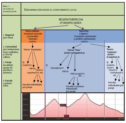 Transecto
esquem&aacute;tico de diferenciaci&oacute;n de unidades de paisaje a distintas escalas desde
la perspectiva local en Comachu&eacute;n, Michoac&aacute;n, M&eacute;xico. 

 
