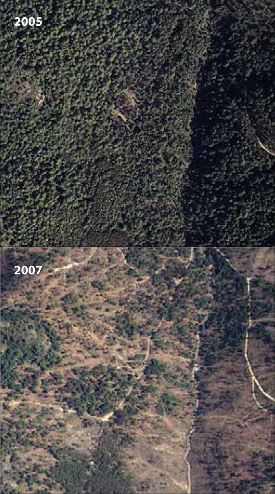 Monitoring changes of forest canopy density in a temperature forest
