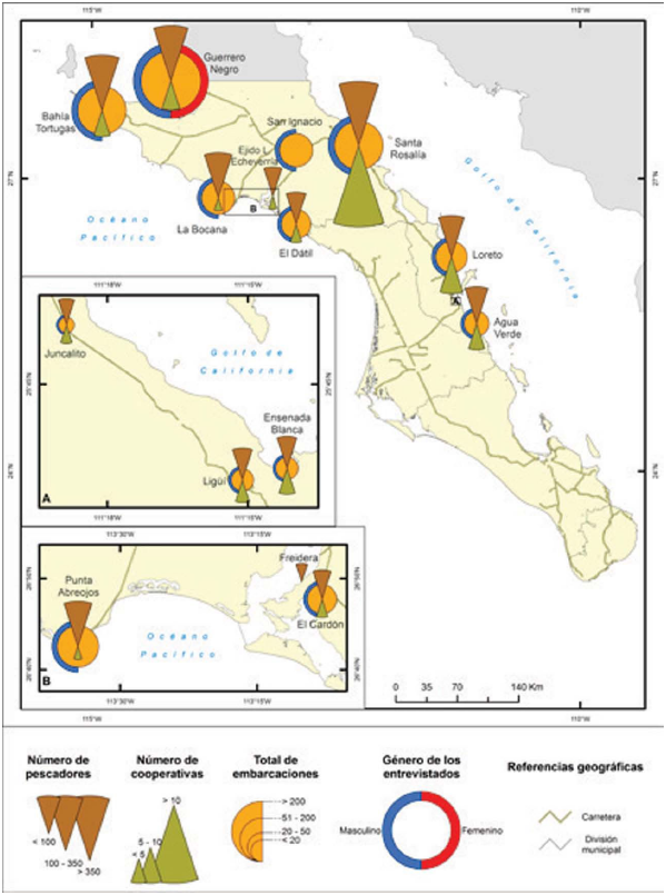 Mapa de
cooperativas, pescadores y embarcaciones de las zonas visitadas en el trabajo
de campo por José-Manuel Crespo-Guerrero en el estado de Baja California Sur,
México