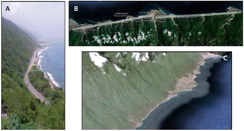 Algunos rasgos morfol�gicos: A) frente
monta�oso con pendientes muy abruptas, B) l�nea o margen costero de muy baja
sinuosidad o rectil�neo, y C) facetas triangulares, que evidencian el control
tect�nico sobre la configuraci�n del relieve regional.