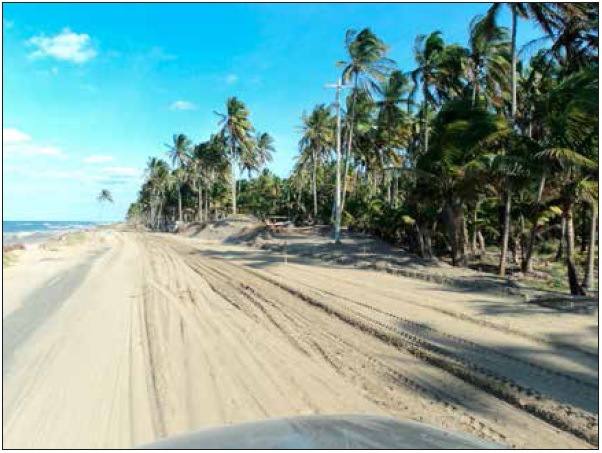 Construcción de carreteras en costa tabasqueña, México