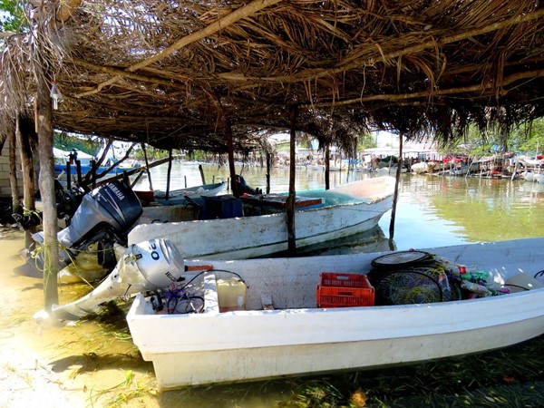 Embarcaciones en la localidad de Nuevo Campechito.
