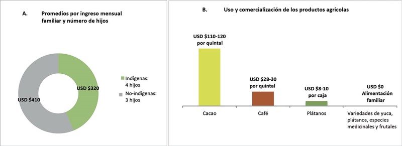 Tabulación y sistematización de los datos obtenidos en campo: A) Promedios por ingreso mensual familiar y número de hijos y B) Uso y comercialización de productos agrícolas.
