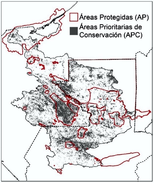 Áreas prioritarias de conservación y áreas protegidas en la cuenca Usumacinta.