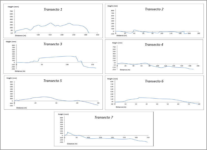 Registration of the microtopography by transects.
