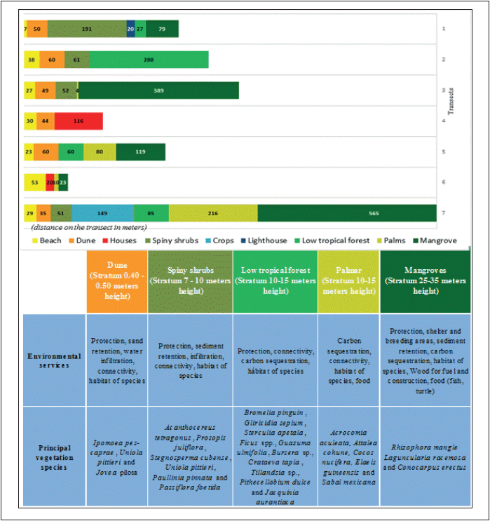 Environmental services among the coastal plant