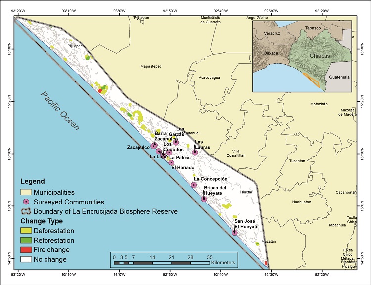 Cumulative changes in land use from 2000 to 2008 in La Encrucijada Biosphere Reserve, Chiapas, Mexico.