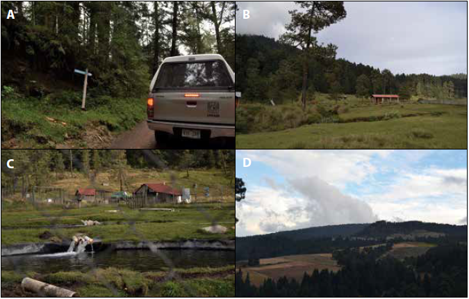 Recorrido de campo d�a dos. A) Camino hacia el Parque Ecotur�stico La Ci�nega B) Remanentes de bosque original C) Estanque para pesca de truchas en el P. E. La Ci�nega y D) Aprovechamientos agroforestales y bosque de con�feras. Autor: Dalia Guti�rrez L�pez. Archivo de campo, diciembre de 2015.