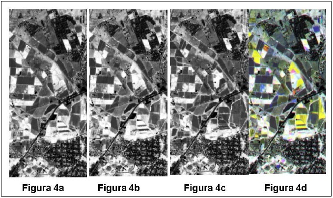 Momentos temporales e imagen multitemporal de NDVI.